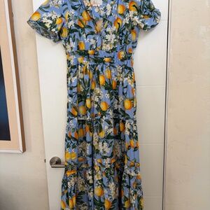 Anthropologie Somerset Maxi Dress Oranges Lemons Dress Size Medium